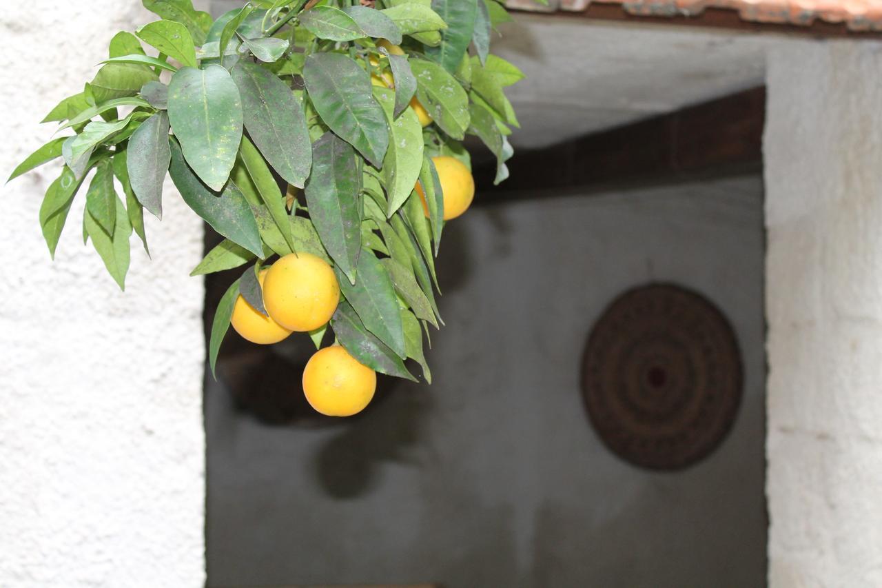 B&B Danonna Ittiri Buitenkant foto